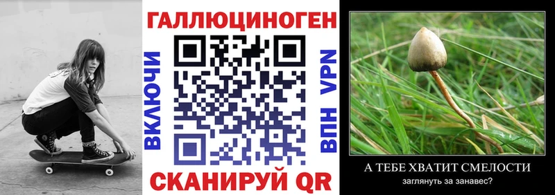 Псилоцибиновые грибы мицелий  купить   Сорск 